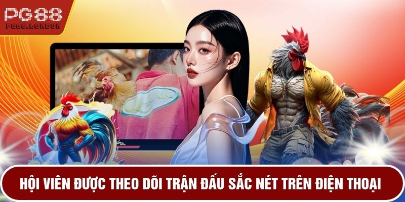 Hội viên được theo dõi trận đấu sắc nét trên điện thoại